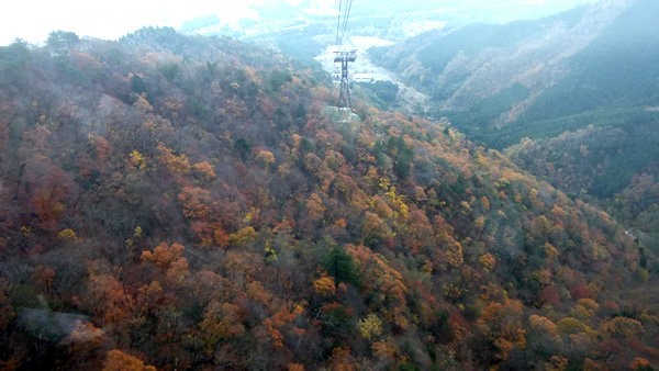 びわ湖バレイ れこりんの感動生活日記