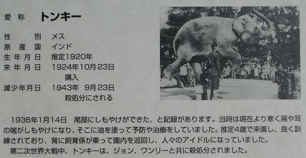 上野動物園の記念碑の話 ゾウのジョン トンキー ワンリー 三重の個人契約家庭教師