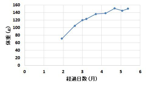 ハムスターの体重推移 ハムスターの記録