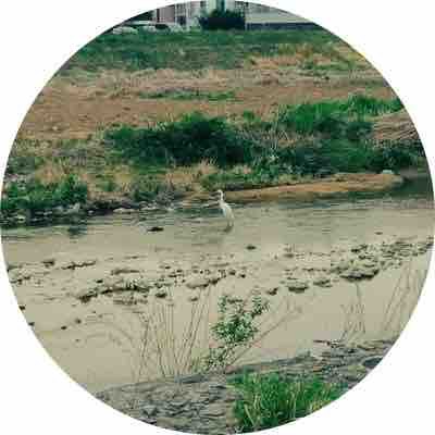 是空でリュウ対策 でゴザルの巻 争覇の章 蠍座b型vs