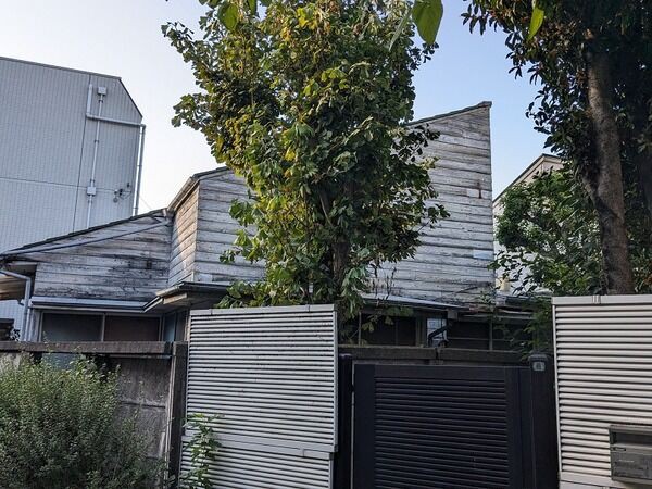 高村光太郎の理想郷 岩手と東京、最後の道程」／『中西利雄・高村