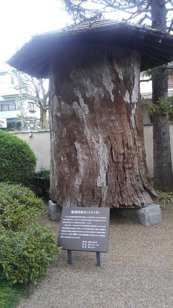 小平市平櫛田中彫刻美術館特別展「ロダン没後100年 ロダンと近代