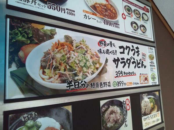 御茶ノ水 はなまるうどん でコクうまサラダうどん 柏 優待マイスター