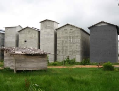 燕の住居施設 高級食材 燕の巣 南国タイ クラビ県アンダマン海よりツバメの巣を直接販売