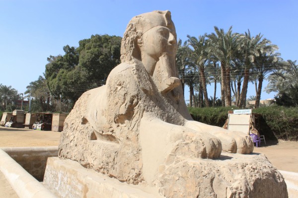 ピラミッド群 自 己 漫 日 記