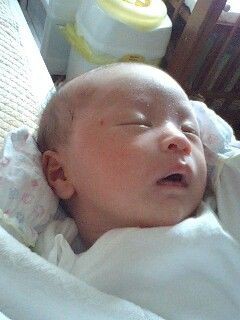 ミトン装着 Ktnngmのブログ