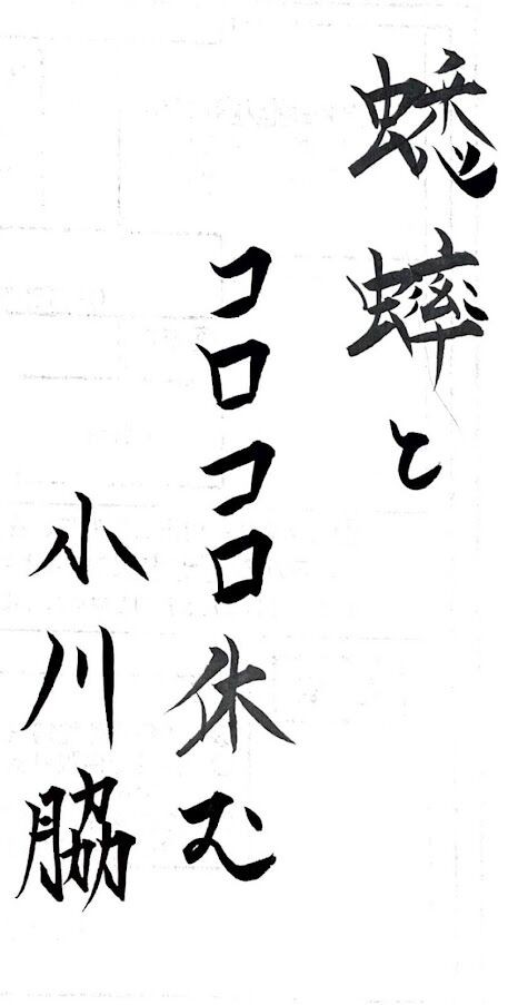 日本人の名字を組み合わせて俳句を作ってみた もがき続けて100年生き抜くブログ