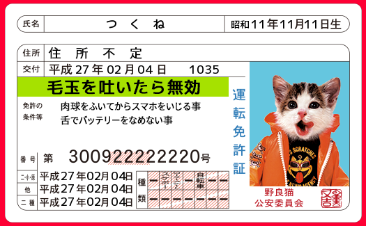 あの なめ猫 の免許ジェネレーターが登場 くちこむ