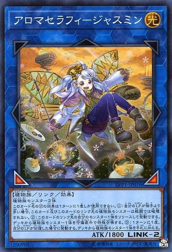 遊戯王 やっぱり黒庭は複雑だよね ブラック ガーデン 遊戯とヴァンガード