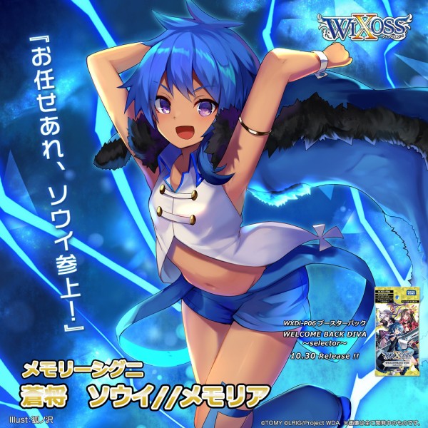 ウィクロス WELCOME BACK DIVA カートン 初版 特典付