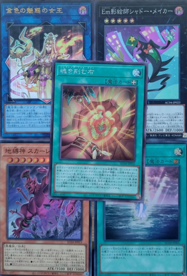 遊戯王フラゲ ANIMATION CHRONICLE 2024実物開封結果 封入率 全 遊戯王フラゲ ANIMATION CHRONICLE 2024実物開封結果 封入率 全