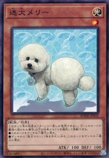 遊戯王 なぜ令和にもなって迷犬マロンのサポートを 迷犬メリー 遊戯とヴァンガード