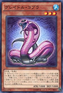 遊戯王 餅カエル 裁定 ルール 環境には 遊戯とヴァンガード