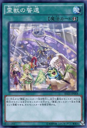 新規 シャドール