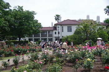 期間限定情報 横浜山手にある 港の見える丘公園 のローズガーデンでバラ観賞 横浜ブログ