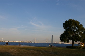 横浜みなとみらいの芝生の公園 臨港パーク 横浜ブログ