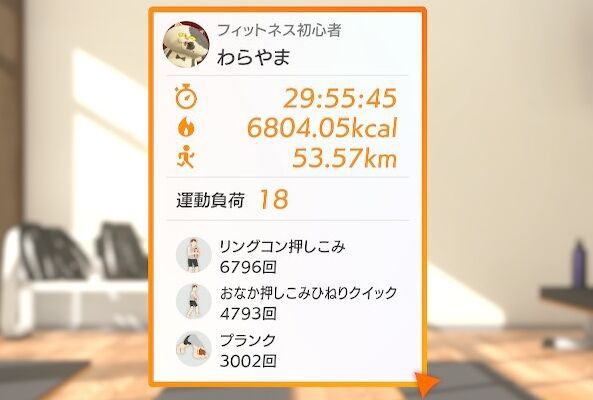 リングフィット プランク3千回達成 私のカスタムフィットネスリスト 感想 好き度 Kuma16 スクショ メモ帳 置き場