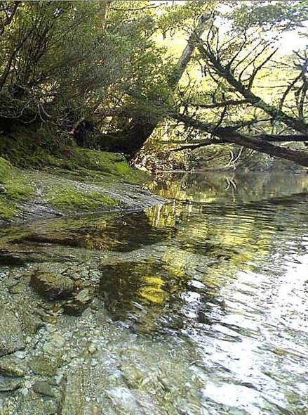 97 日本の名水百選 屋久島宮之浦岳流水 やくしまみやのうらだけりゅうすい 名水を訪ねて 一度は飲んでみたい名水たち