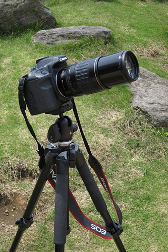 Manfrotto「三脚 MK293A4」+「自由雲台 494RC2」レビュー : クマデジタル
