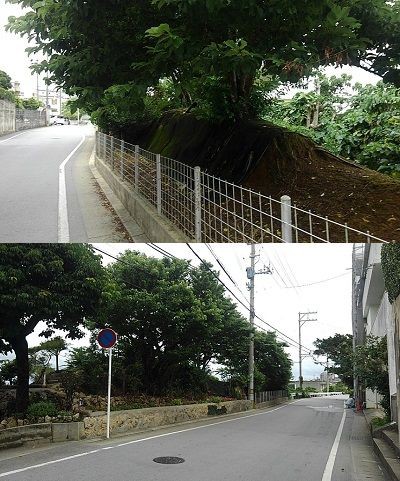 廃線 嘉手納線 その２ 城間 嘉手納 駅メモ くまさんのステーションメモリーズ攻略日誌