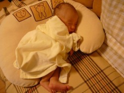 授乳クッション くまこの妊娠 出産 育児