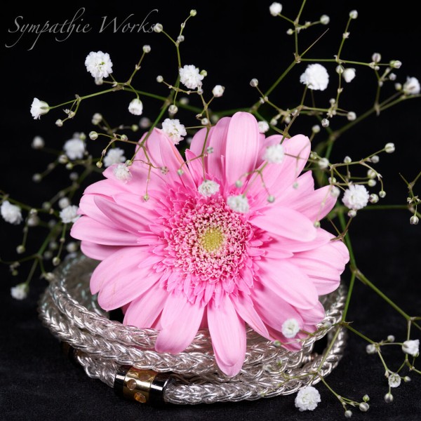 作品の紹介と販売のご案内 : SYMPATHIE WORKS