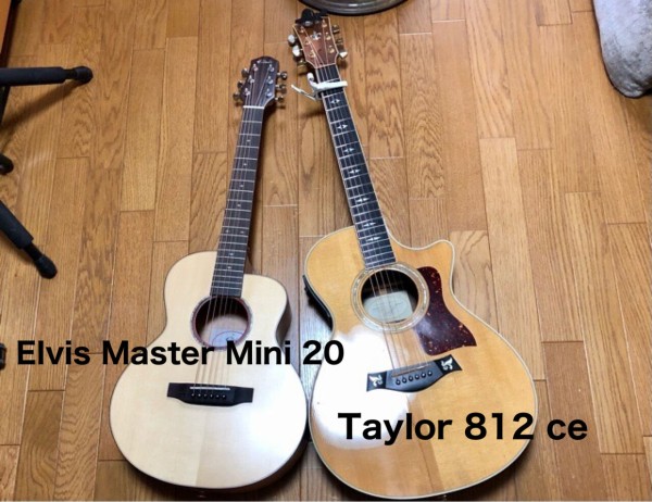 ELVIS製36インチ単板ミニアコーステックギターMaster Mini 20
