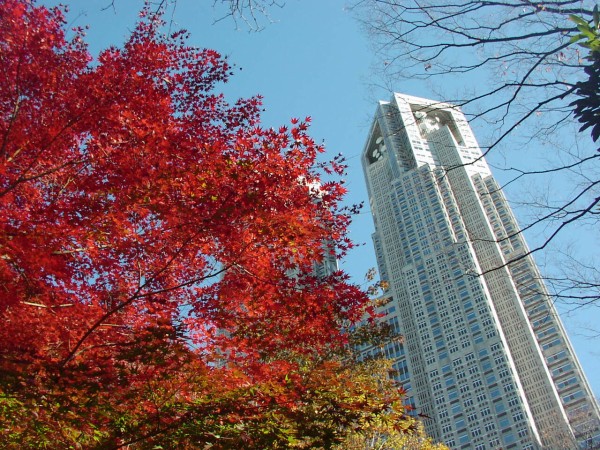 西新宿 新宿中央公園は12月になっても まだまだ紅葉 そしてコロナ渦でもクリスマスツリーは気持ちがあがる K Unit 情報局