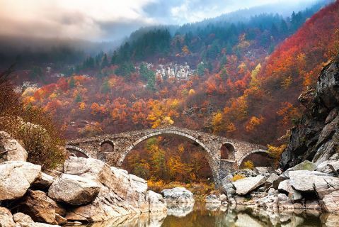 別世界へと誘う神秘的な橋 くらげのまど