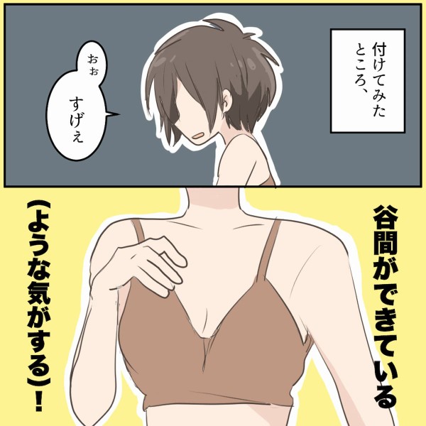 貧乳コンプレックスをこじらせた話6 ブラジャーってすごい 会社員倉間のまいにちホリデー Powered By ライブドアブログ