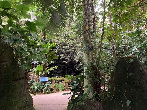 牧野植物園２-2