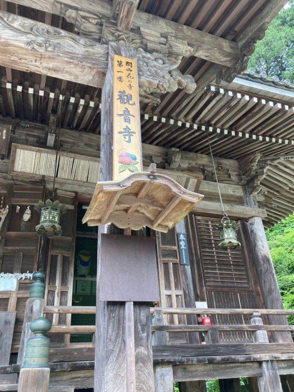 福知山　華観音寺　紫陽花
