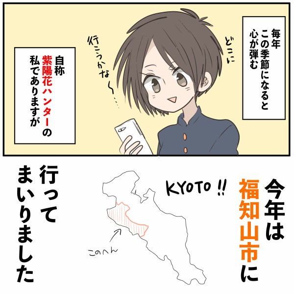福知山　華観音寺　紫陽花
