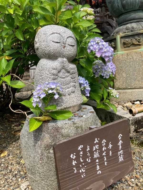 福知山　華観音寺　紫陽花