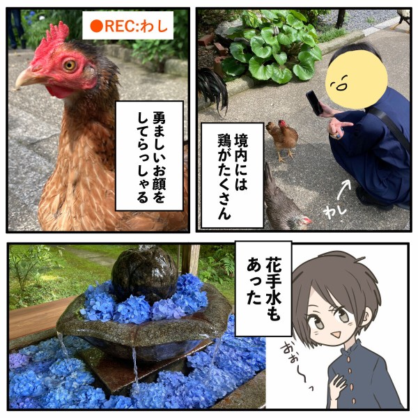 華観音寺　花手水