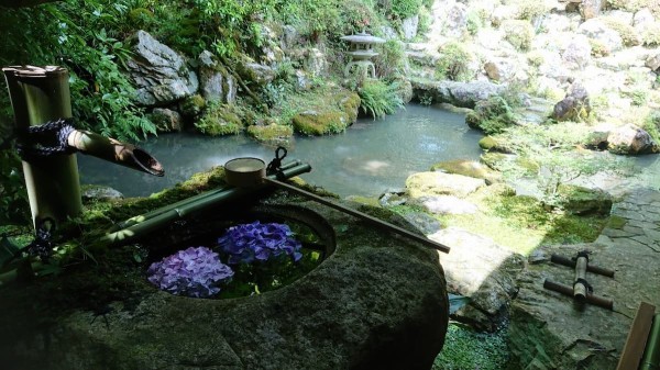 楊谷寺　紫陽花２-2