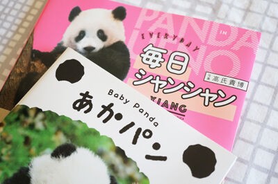 さよならシャンシャン】楽天で見つけたパンダグッズ : 暮らしとわたし＊50代からシンプルライフ