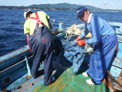 青い海に白い漂流物 ひなた三代目 蔵内之海ログ