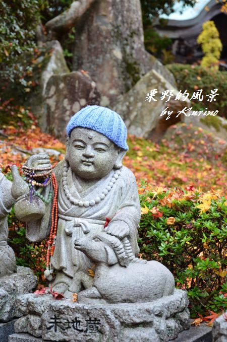 かわいいお地蔵さんたち : 栗野的風景