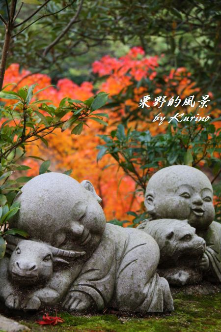 紅はるか150本 6月上旬 お地蔵さん かわいいお地蔵さんたち : 栗野的風景