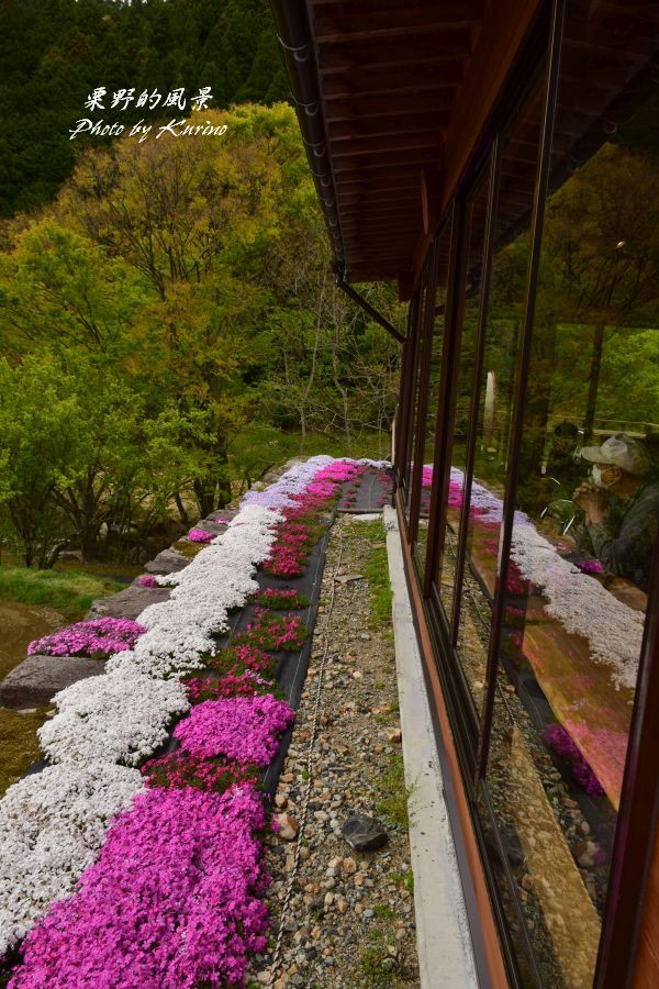 村に広がる美しい癒しの空間 西粟倉村の芝桜 栗野的風景