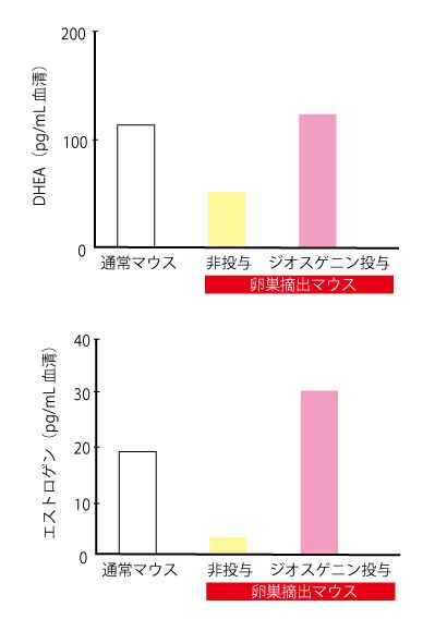 山芋ジオスゲニンのdhea エストロゲン変換 健康食品サプリ製造業界の格闘オヤジ