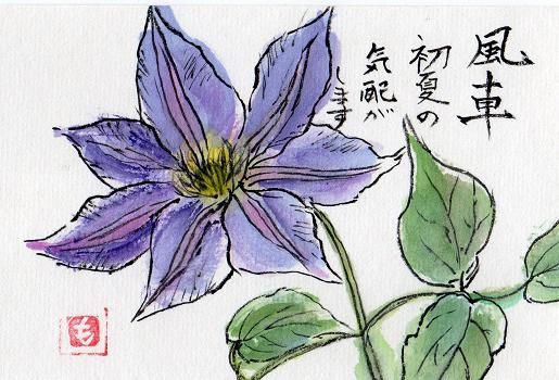 真作/佐藤古岫/鉄綿花図/花図/てっせん/鉄線/鉄仙/掛軸/名家伝来AE-379 真作/佐藤古岫/鉄綿花図/花図/てっせん/鉄線/鉄仙/掛軸/名家伝来