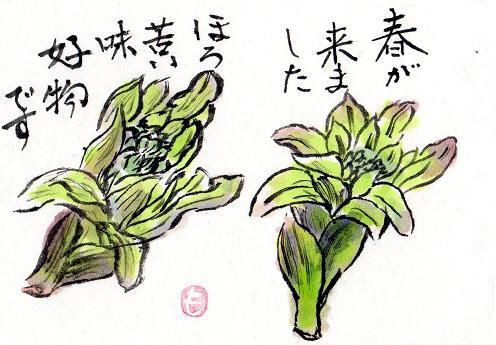 絵手紙シリーズ フキノトウ（蕗の薹） : 四季の花図鑑