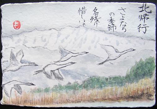 絵手紙シリーズ コハクチョウ 小白鳥 の北帰行 四季の花図鑑