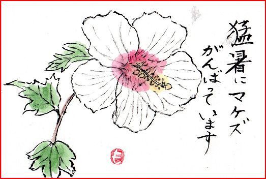 絵手紙シリーズ ムクゲ（木槿） : 四季の花図鑑