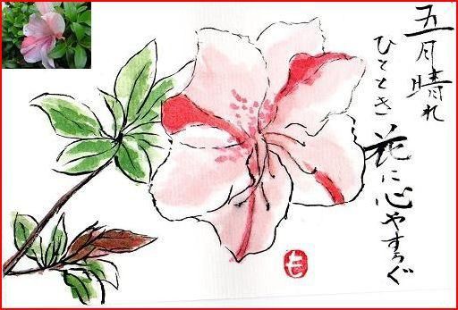 絵手紙シリーズ サツキ 皐月 四季の花図鑑