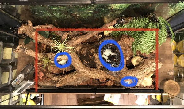 僕のテラリウムについて : どしたの？クロエ