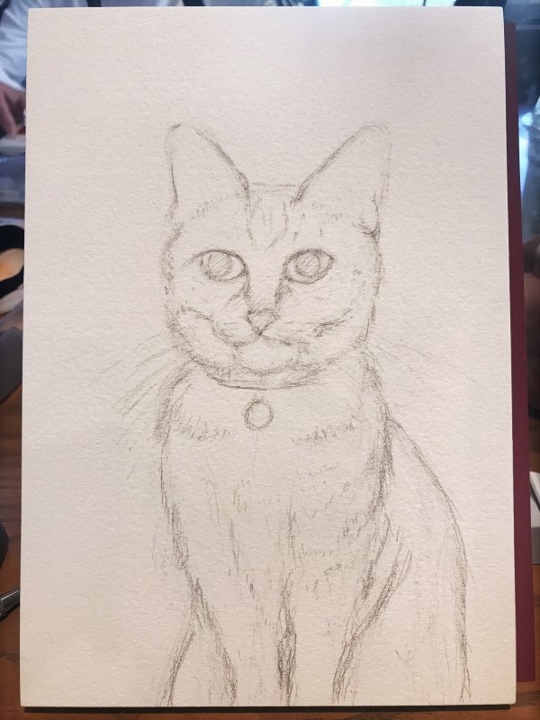 お友達の猫「ノンちゃん」を透明水彩で描かせていただきました