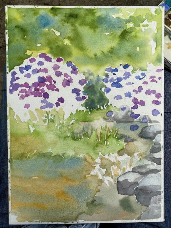 今年の紫陽花スケッチ【鶴見緑地せせらぎエリアにて】 : 水彩的
